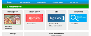 up vidhwa pension yojana registration online apply form