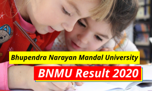 BNMU Result 2023 www.bnmu.ac.in 1st 2nd 3rd 4th 5th 6th Sem Results www.bnmu.ac.in Bhupendra Narayan Mandal University Exam Results 2023-2024