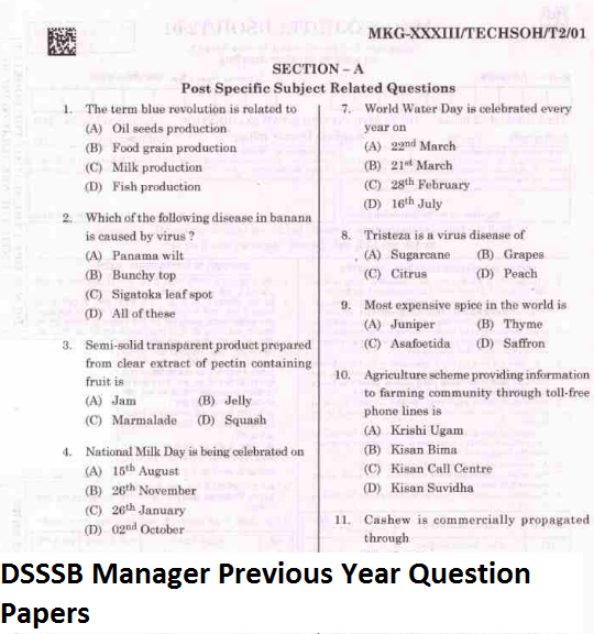 DSSSB Manager Previous Year Question Papers