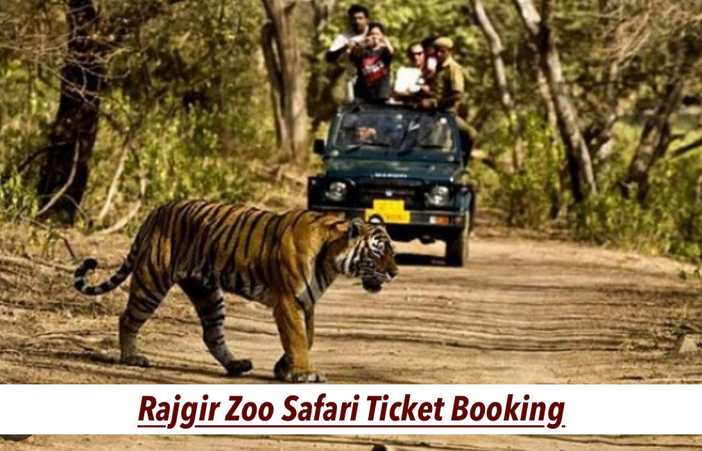 Rajgir Zoo Safari Ticket Booking Online Link Out