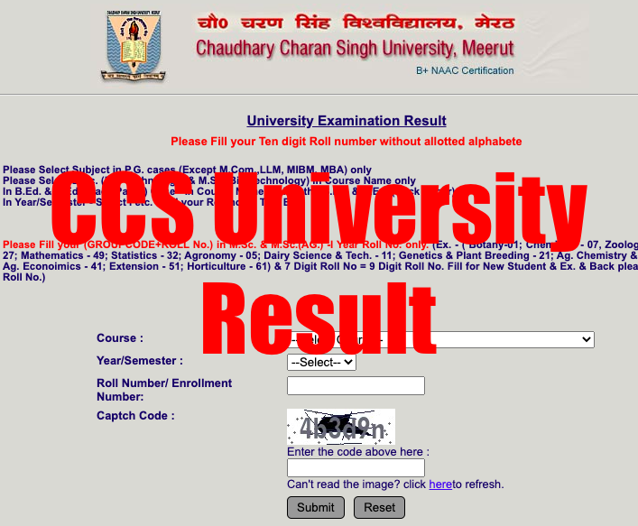 ccsu result checking link 2023 check ccs university exam result process online