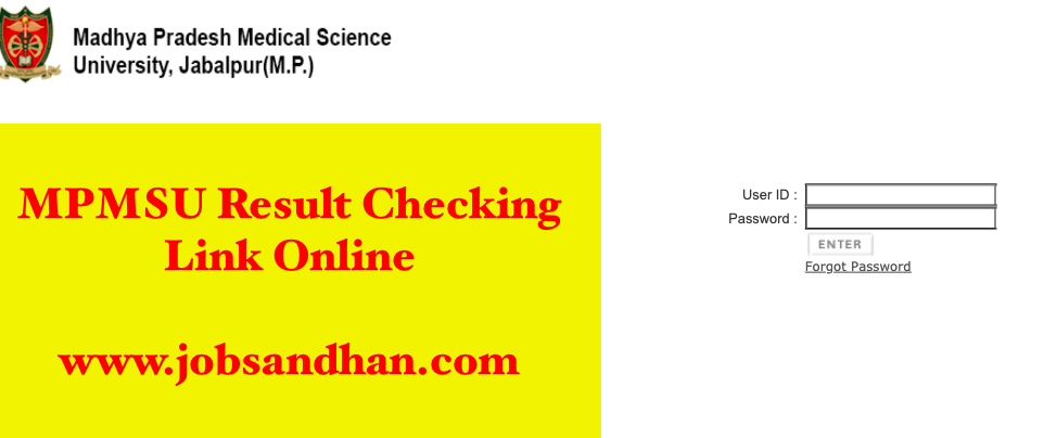 mpmsu jabalpur result checking process step by step window